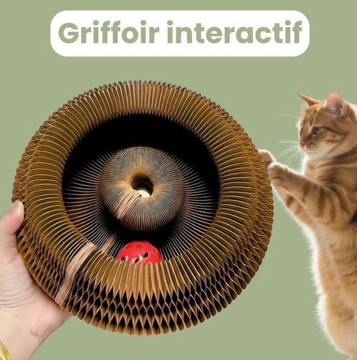 Griffoir interactif pour chats